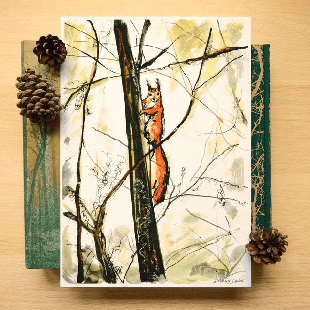 Red Squirrel Pauses For Thought | Print