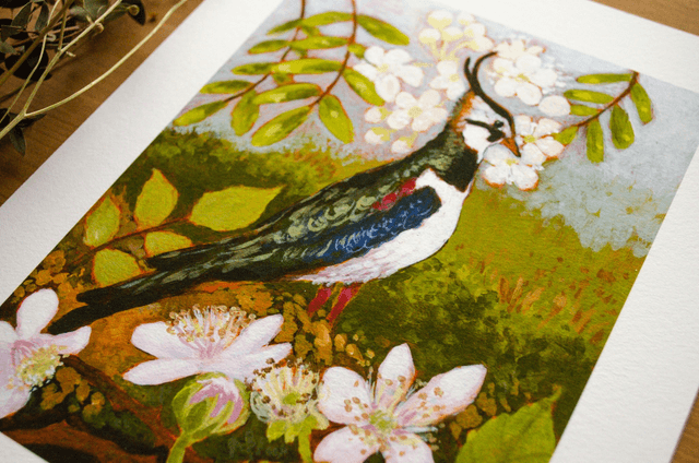 Wading Lapwing | Print