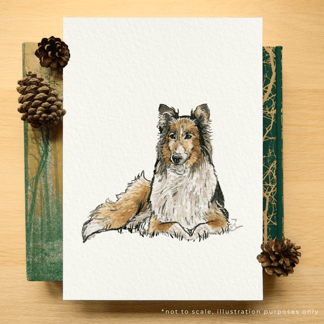 Bespoke Pet Portrait | Illustrated from your photo
